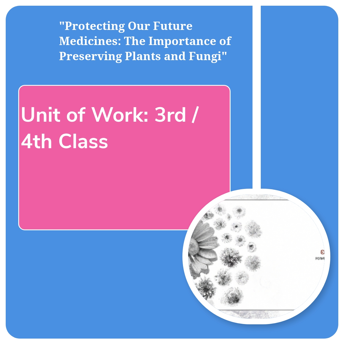 Unit of Work (3rd / 4th Class) "Protecting Our Future Medicines The