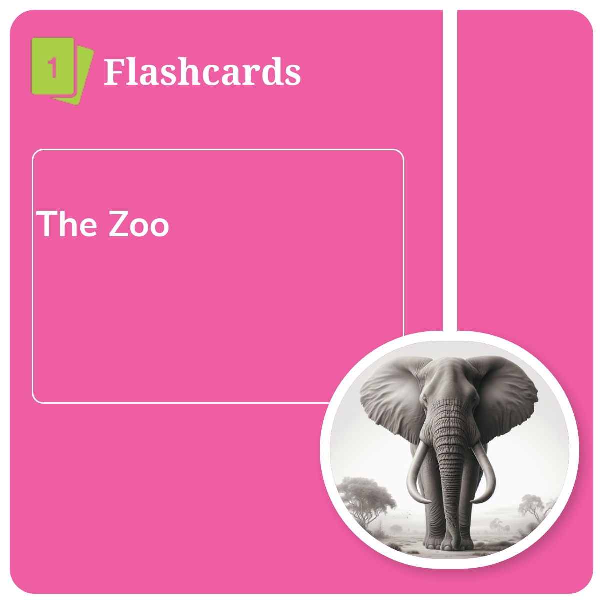Flashcards 5 x 4: The Zoo