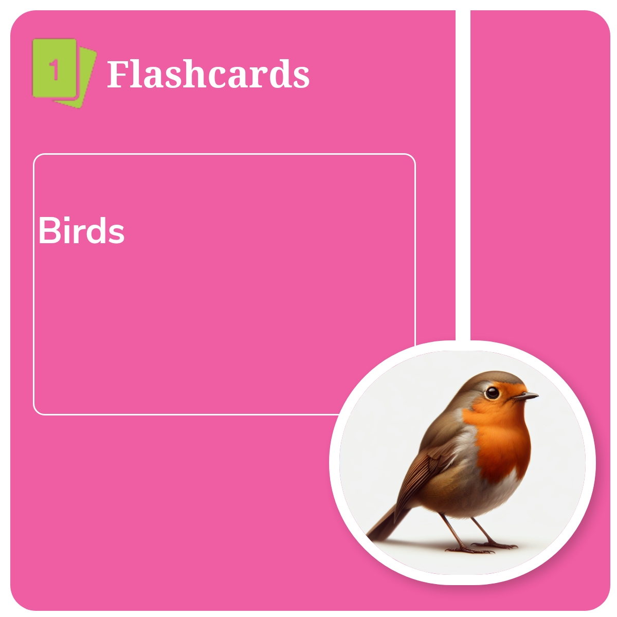 Flashcards 10 x 2: Birds